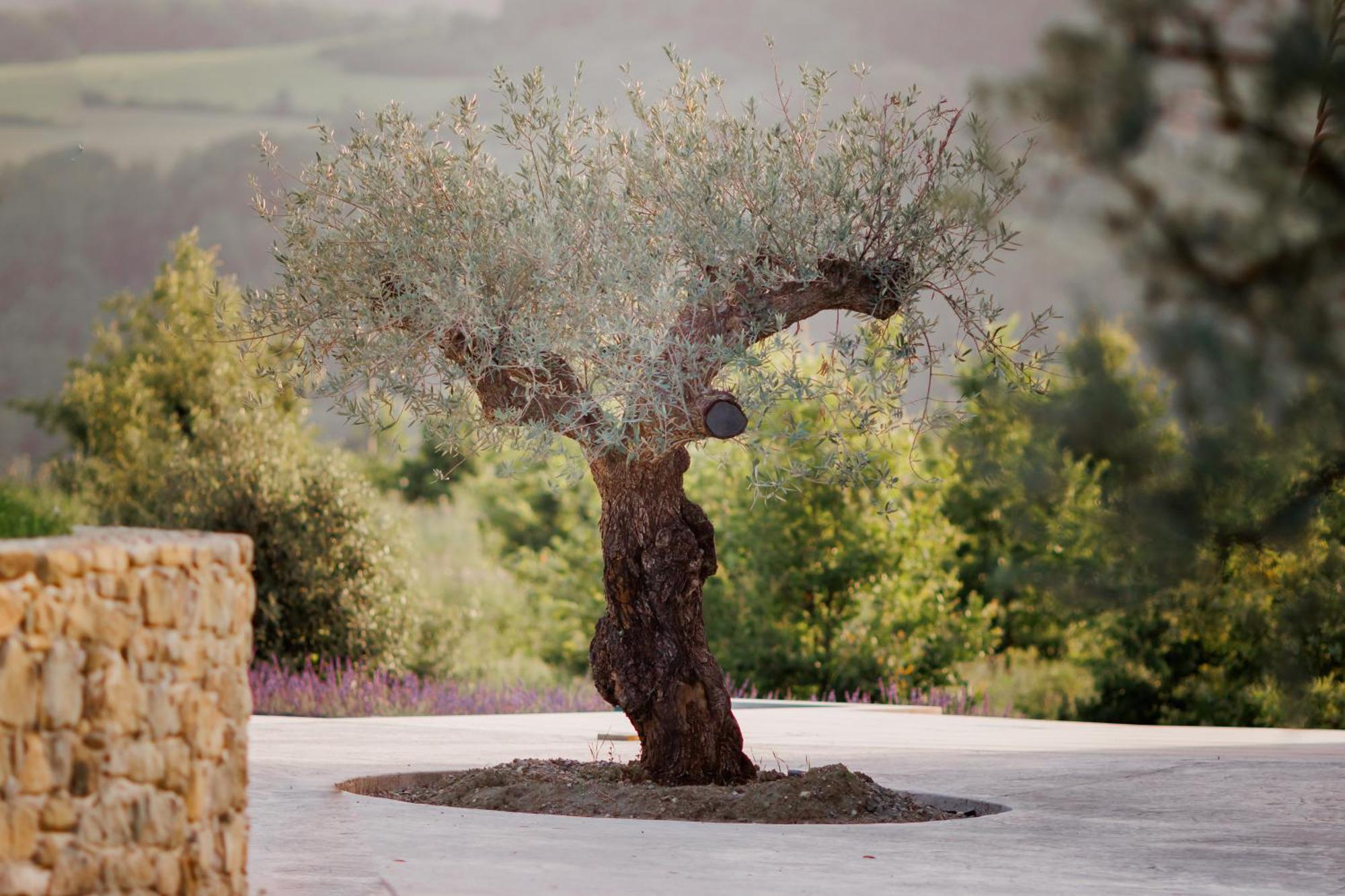 Crupies Domaine De Chabanne Bed & Breakfast エクステリア 写真